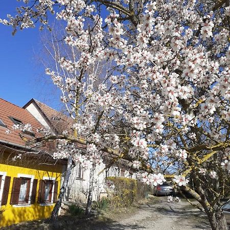 Éva Vendégház Tata Exterior foto