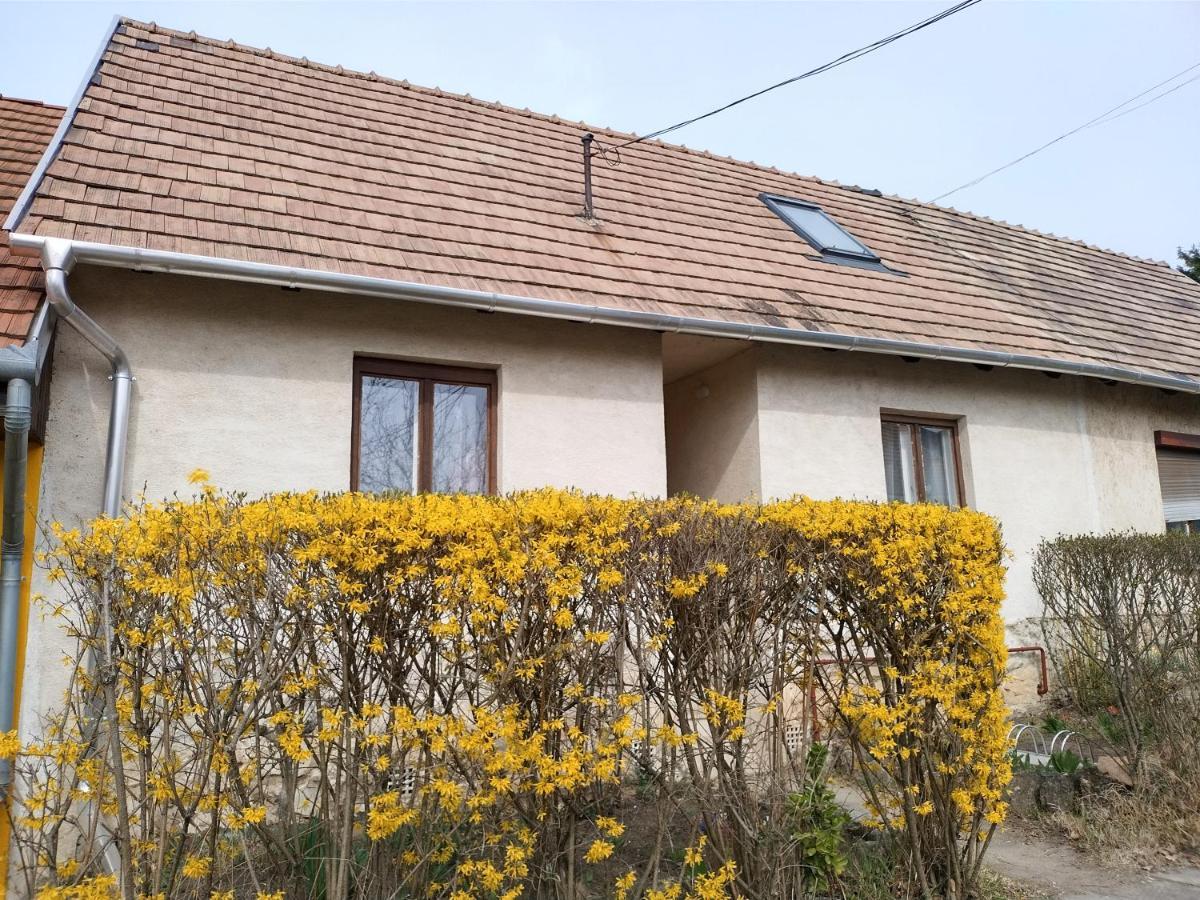 Éva Vendégház Tata Exterior foto